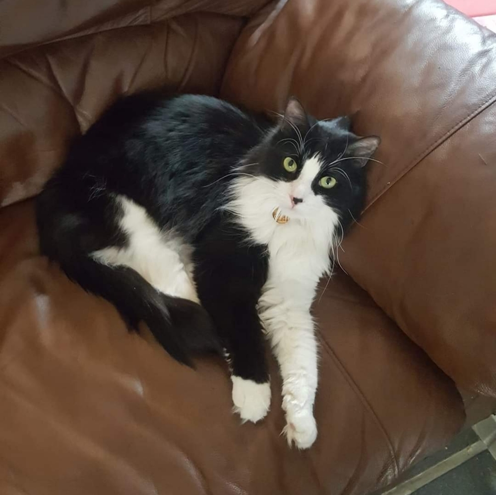 Meet your Posher, Lou